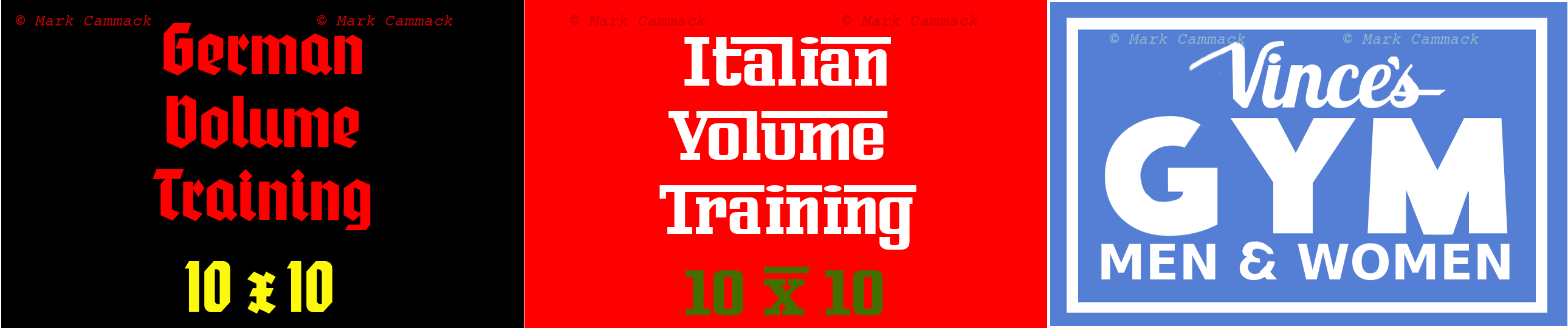 Forms of the 10 x 10: German Volume Training 10 x 10, Italian Volume Training 10 x 10, Vince's Gym 
