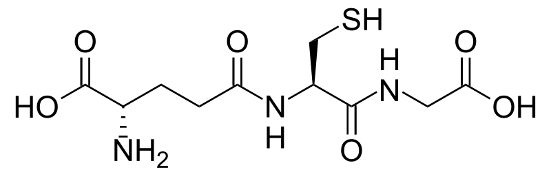 Skeletal structure of Glutathione with the SH thiol group