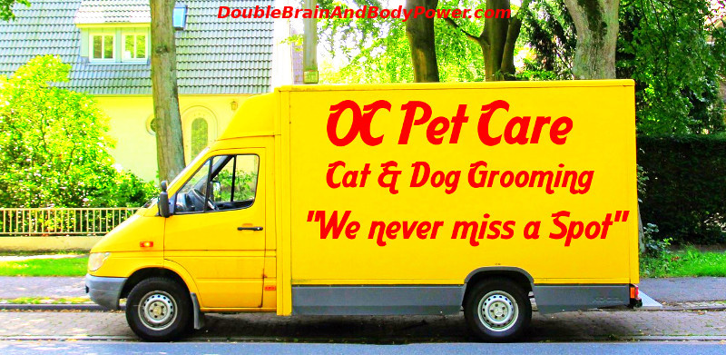 Picture of a bright yellow van with words in red that say OC Pet Care, Cat & Dog Grooming, We never miss a Spot