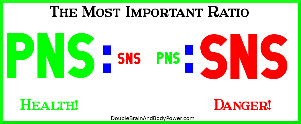 The Most Important Ratio: The Parasympathetic to Sympathetic Nervous System ratio